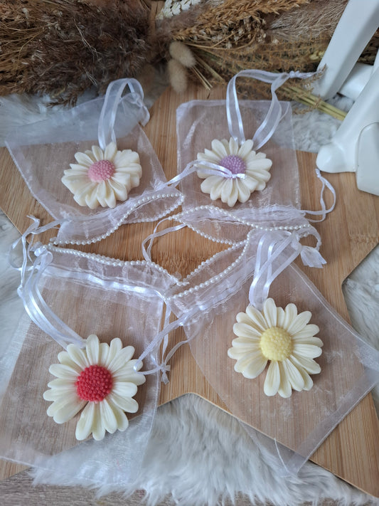 Suspension Parfumée – Marguerite Personnalisable
Un souffle de poésie et de fraîcheur !