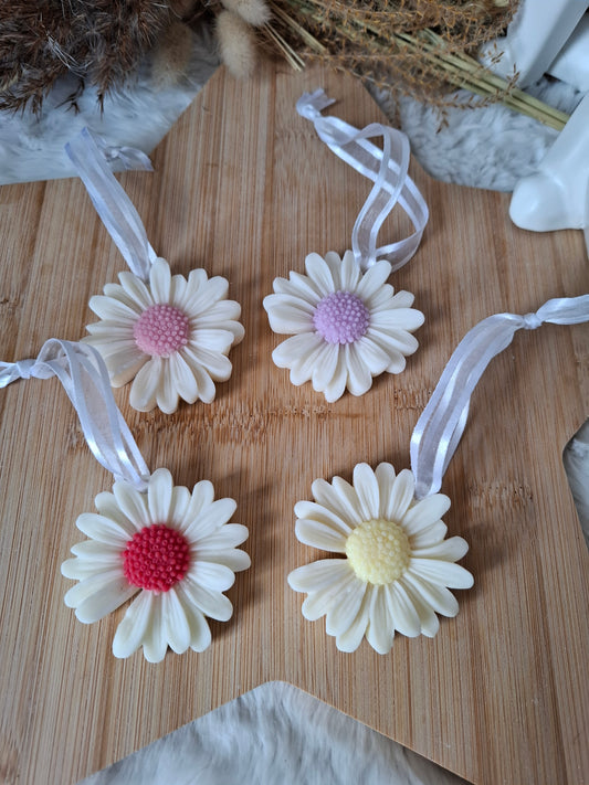 Suspension Parfumée – Marguerite Personnalisable
Un souffle de poésie et de fraîcheur !